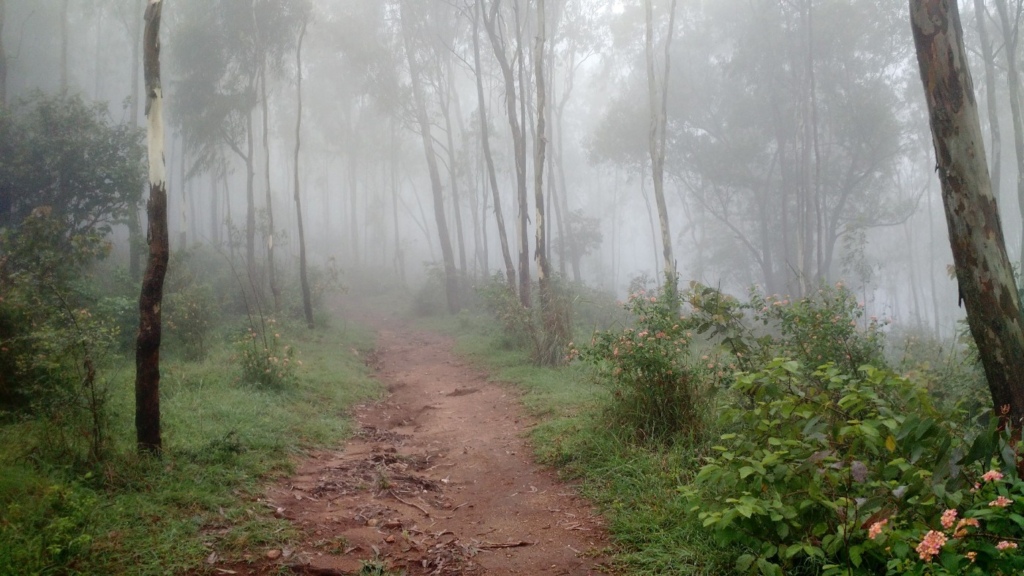 Nandi Trail 2